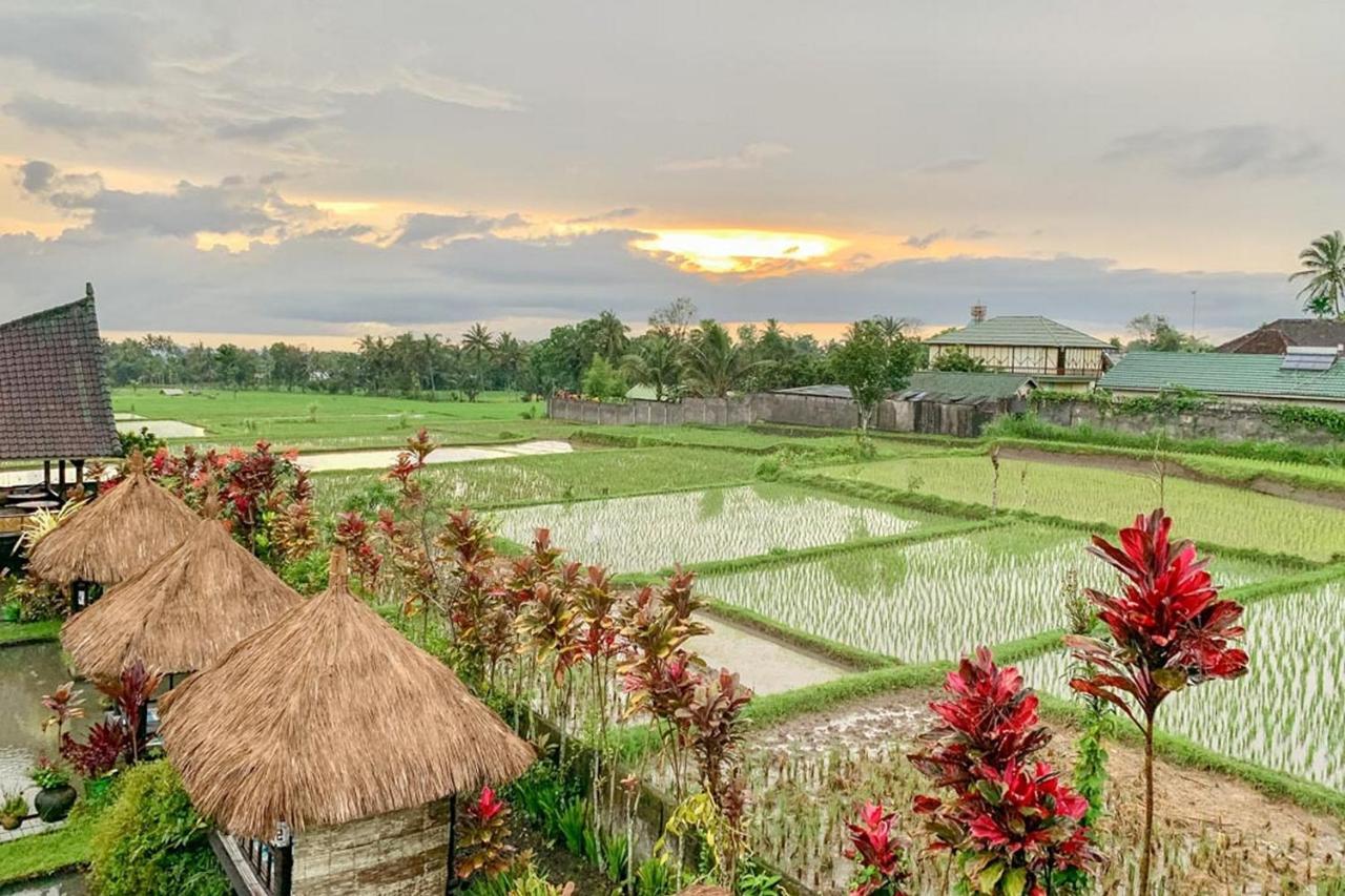 Lesehan Cahaya Tetebatu Inn Syariah At Desa Wisata Ngoại thất bức ảnh