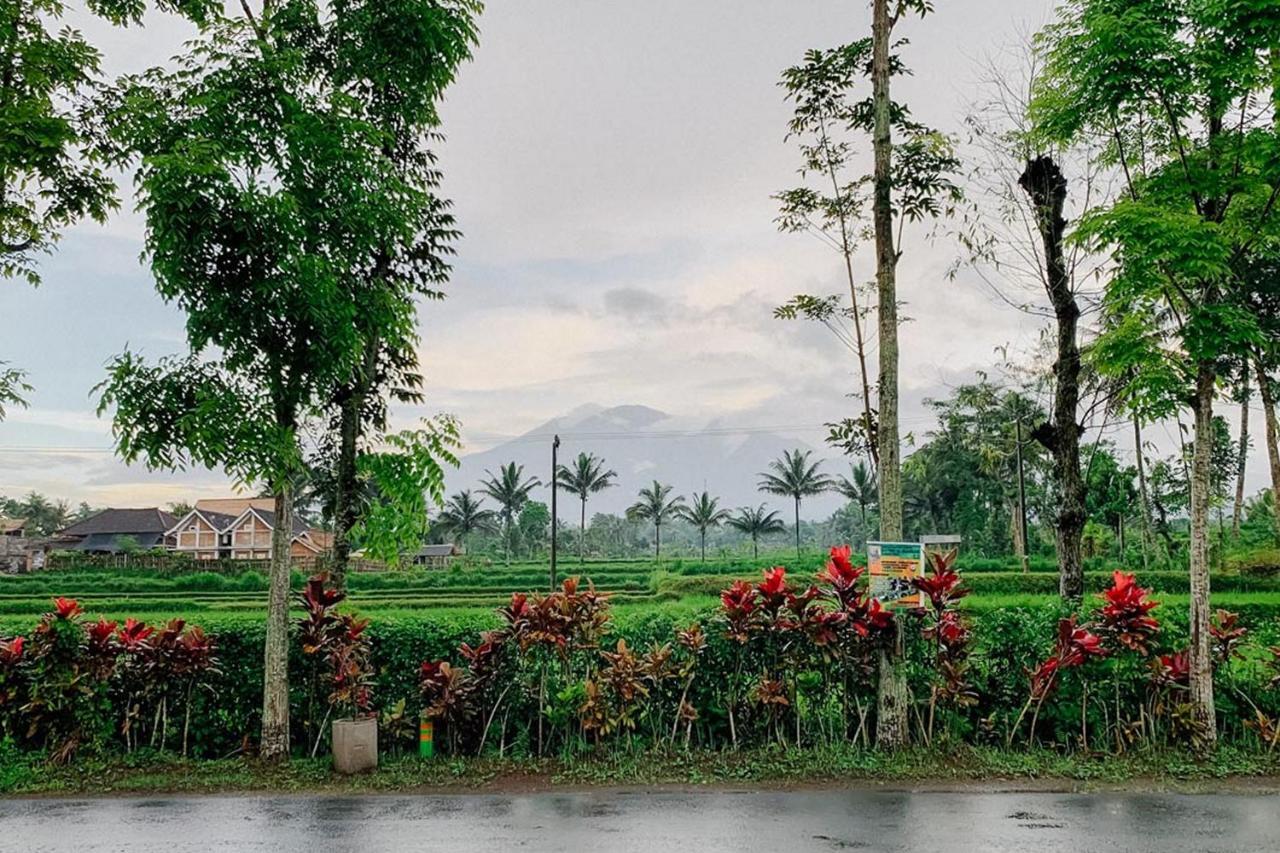 Lesehan Cahaya Tetebatu Inn Syariah At Desa Wisata Ngoại thất bức ảnh